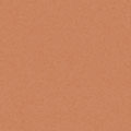 Couleur Boîte - A09 - Gazelle (papier texturé)