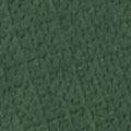 Couleur Boîte - A23 - Vert Feuillage (papier texturé)